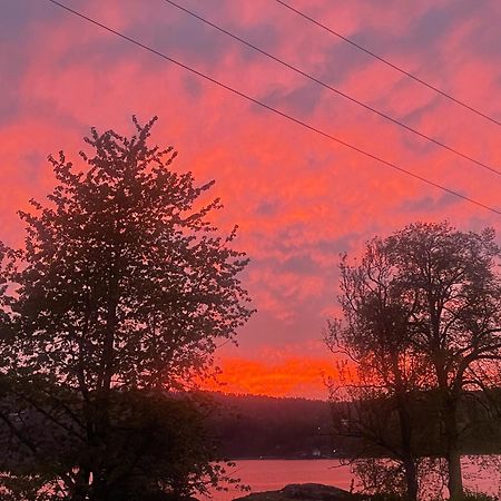 Hyttelaven Pa Furuholmen Sarpsborg Eksteriør bilde